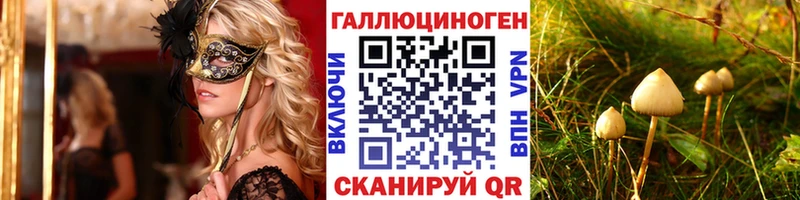 наркотики  Усолье  Галлюциногенные грибы Psilocybine cubensis 
